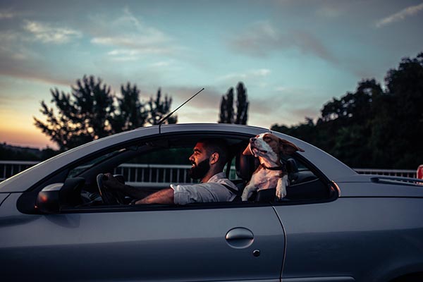 Man driving in the car