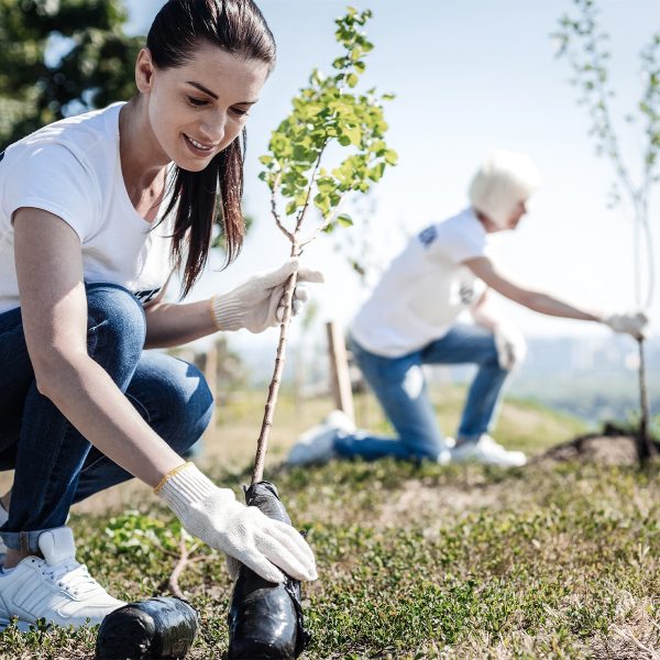 Woman volunteering to plant trees